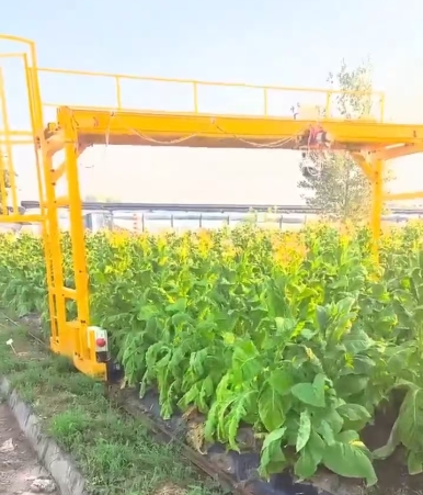 植物生長檢測系統龍門吊